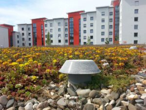 Najnowsze technologie w renowacji dachów przemysłowych – ekologiczne i energooszczędne rozwiązania